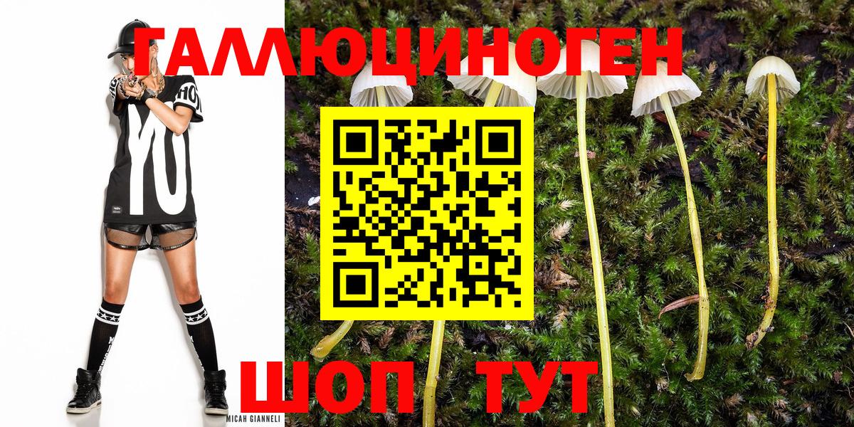 Галлюциногенные грибы мухоморы  Вход с VPN  Славгород 